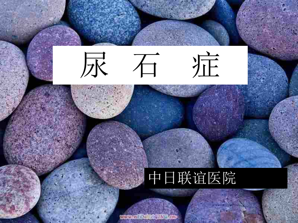 32)尿   石    症.ppt 第1页
