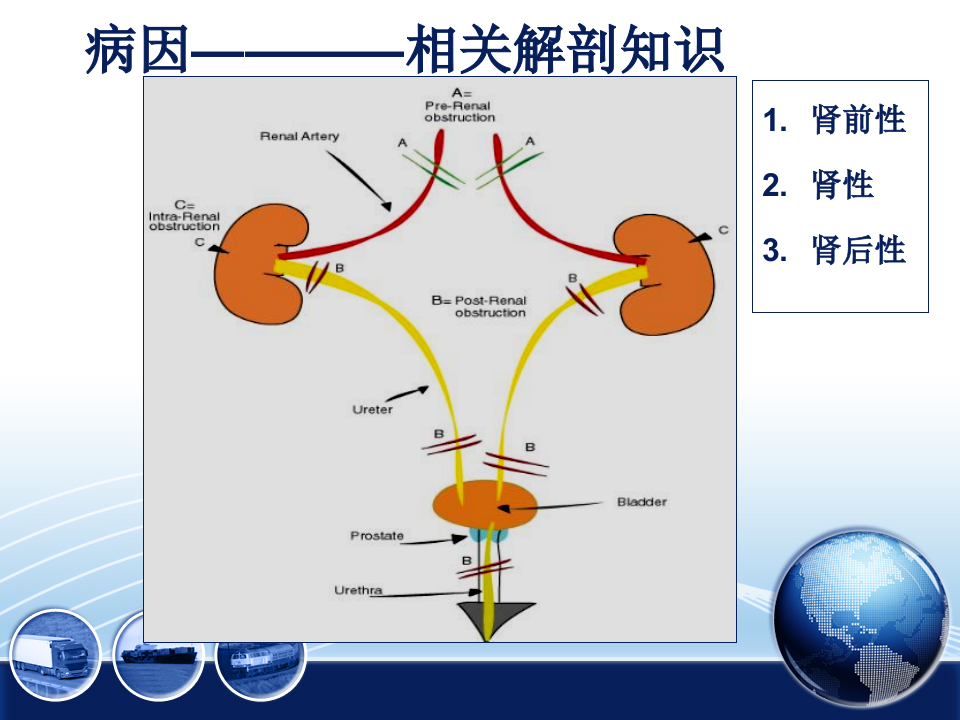 急性肾衰.ppt 第5页