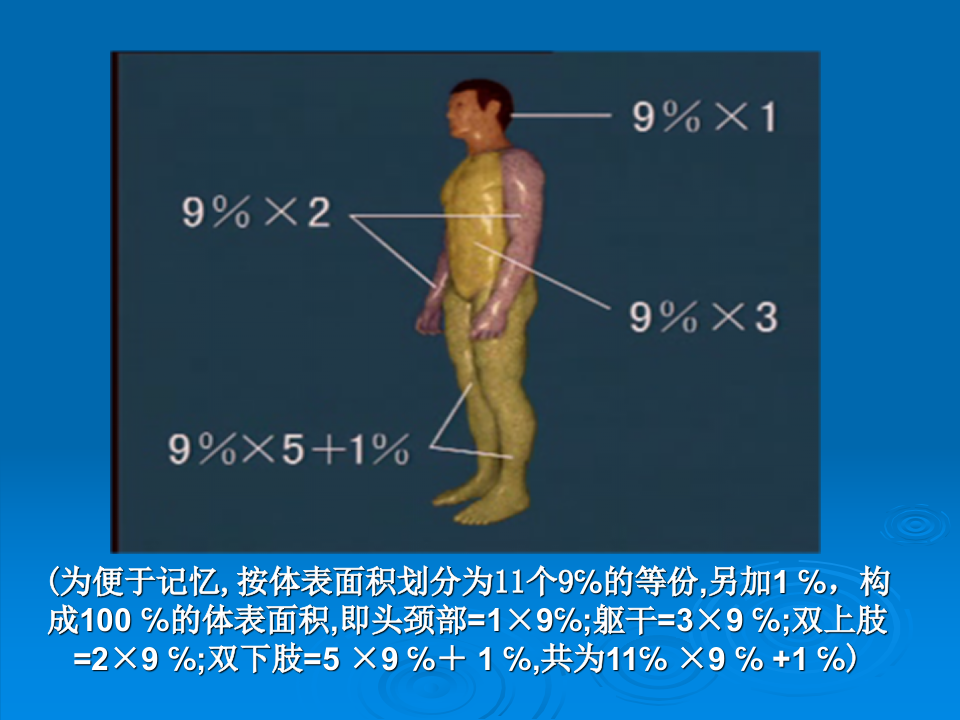 烧伤、冷伤.ppt 第5页