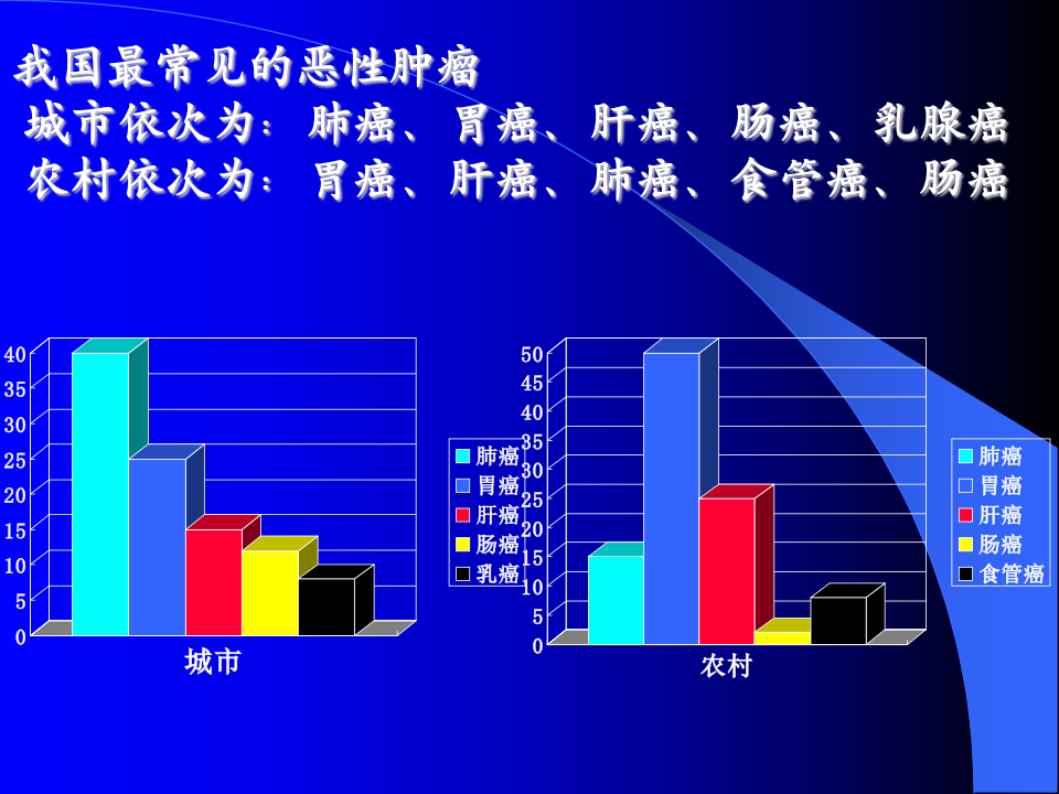 肿瘤正式!.ppt 第3页
