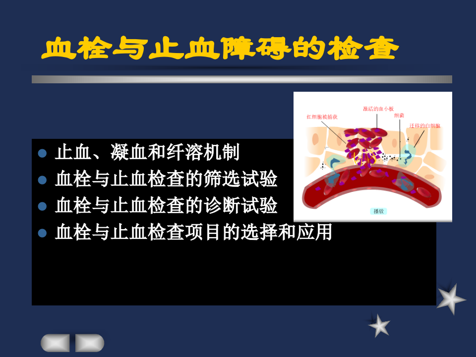 血栓与止血.ppt 第2页