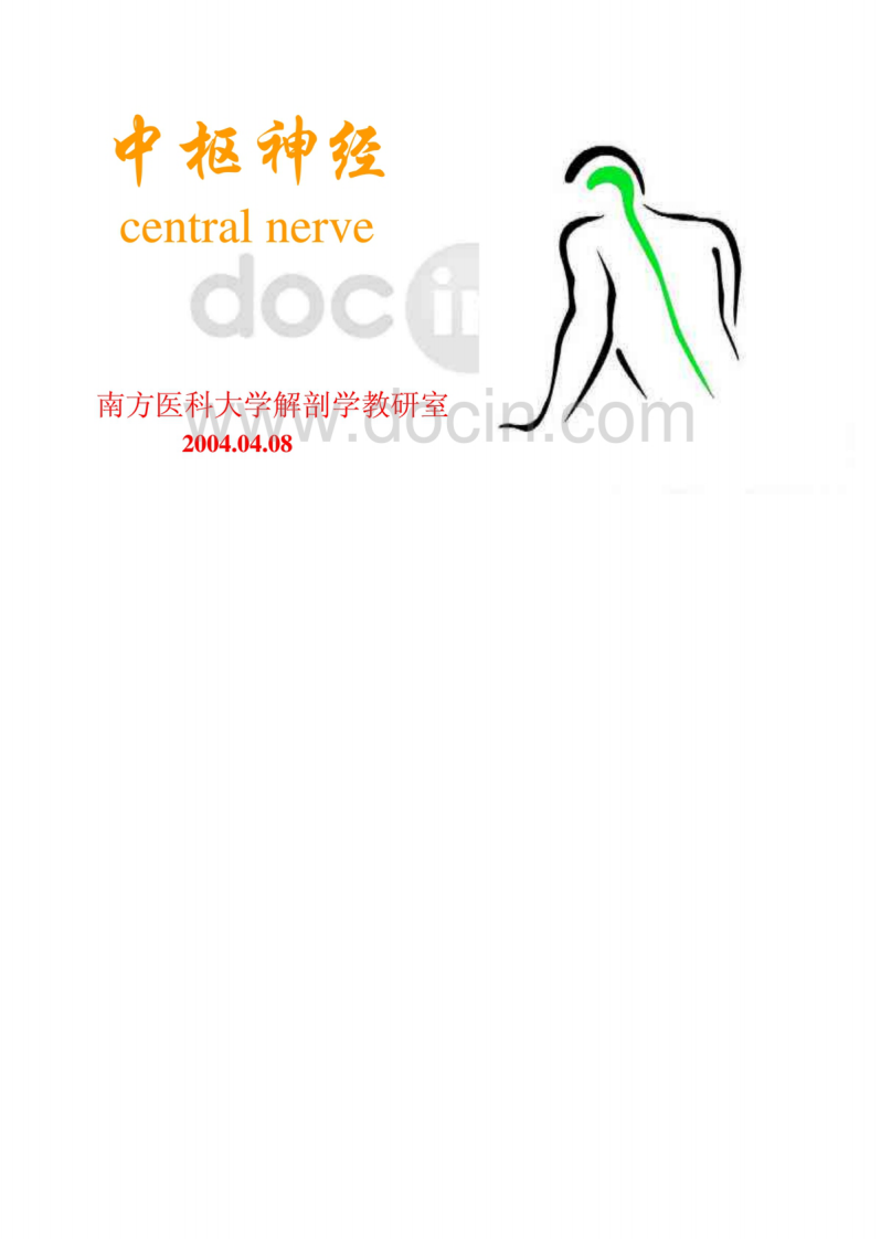 解剖-中枢神经系统_ppt.pdf 第1页