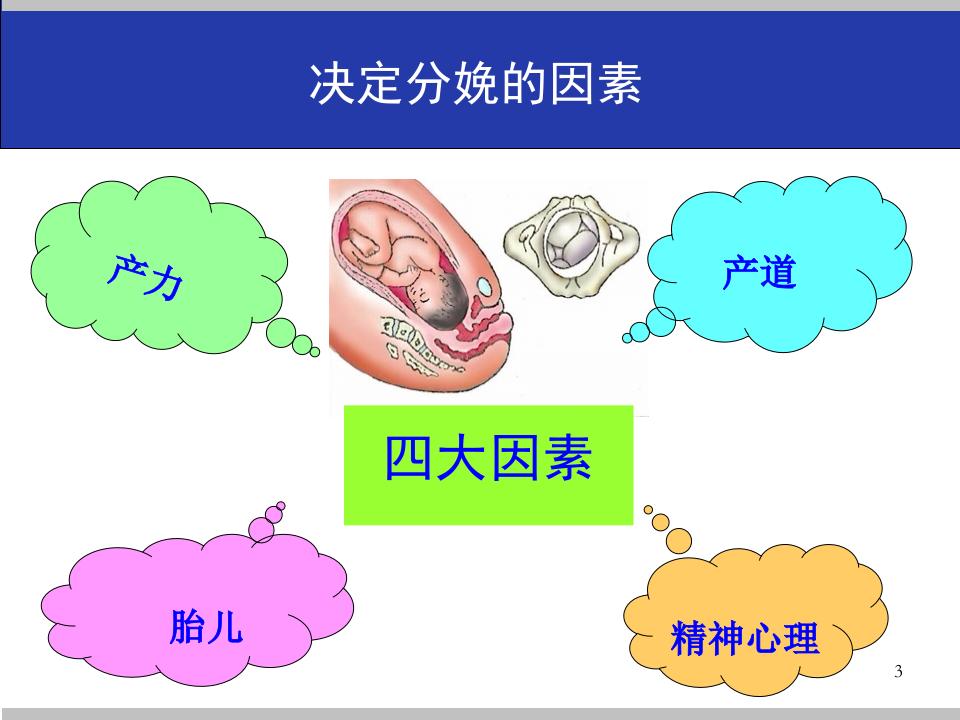 12)2015Minjia异常分娩.ppt 第3页