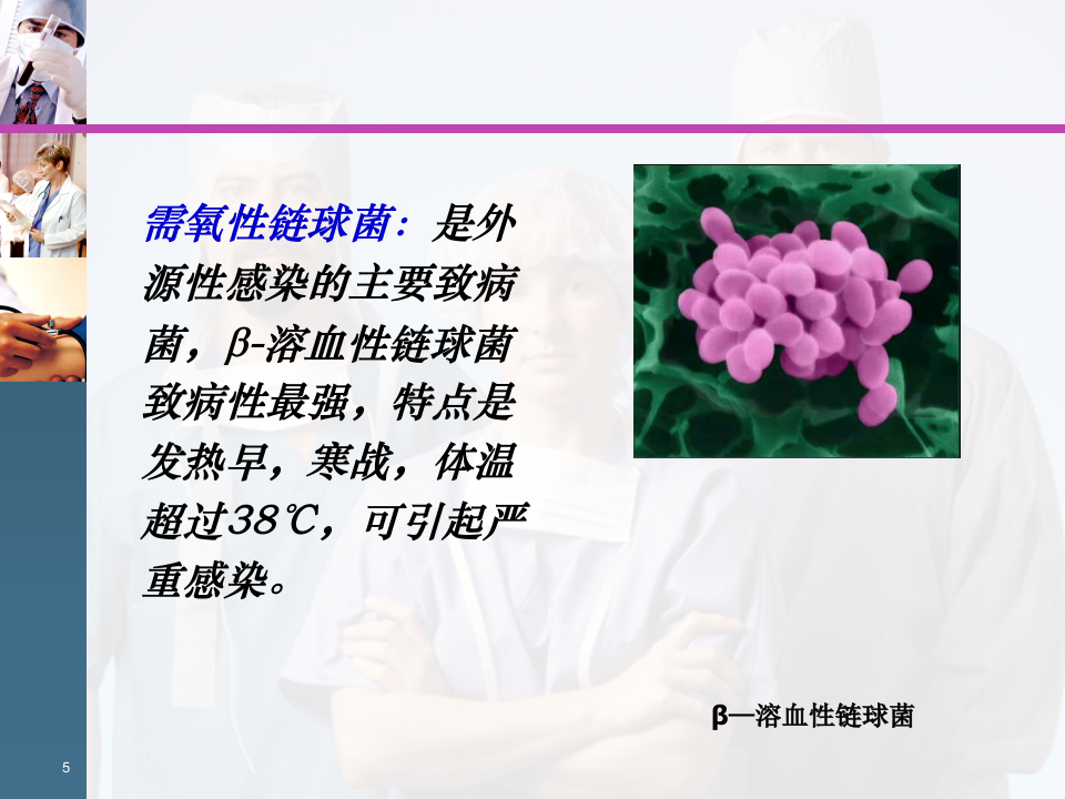 18)异常产褥、阴道炎.ppt 第5页