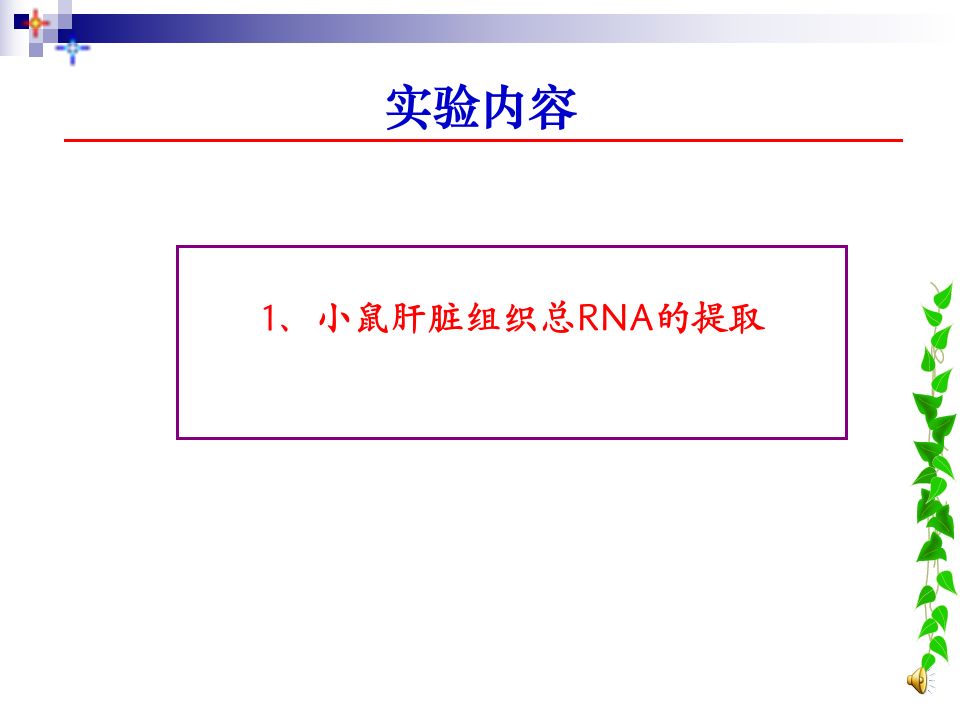 20140918103300522.ppt 第2页