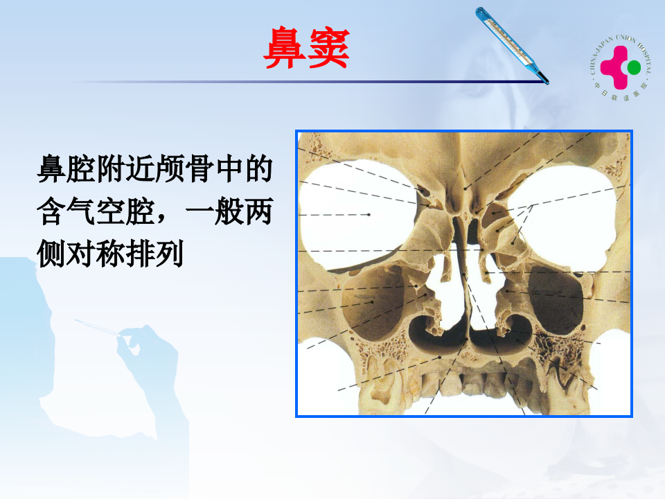 2)鼻窦炎.ppt 第2页
