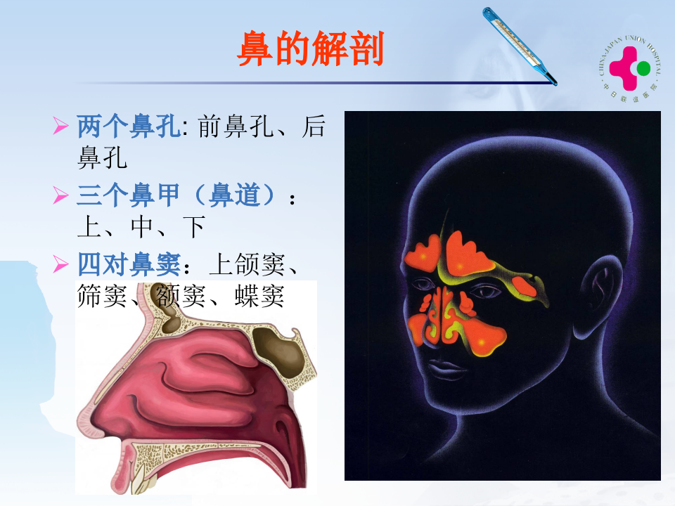 2)鼻窦炎.ppt 第3页