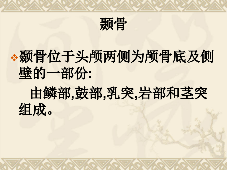 10)耳的应用解剖及生理 - 副本.ppt 第4页