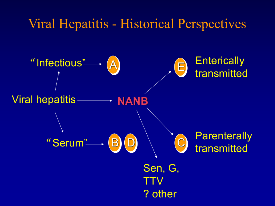 2)肝炎2015.ppt 第3页