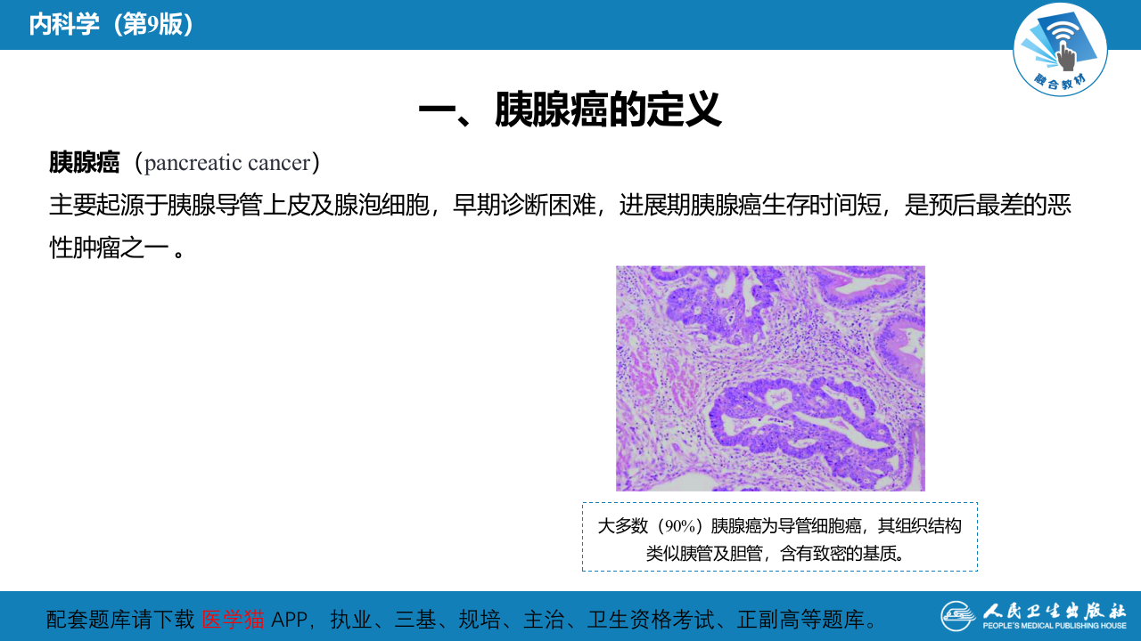 第二十一章  胰腺癌.pptx 第4页
