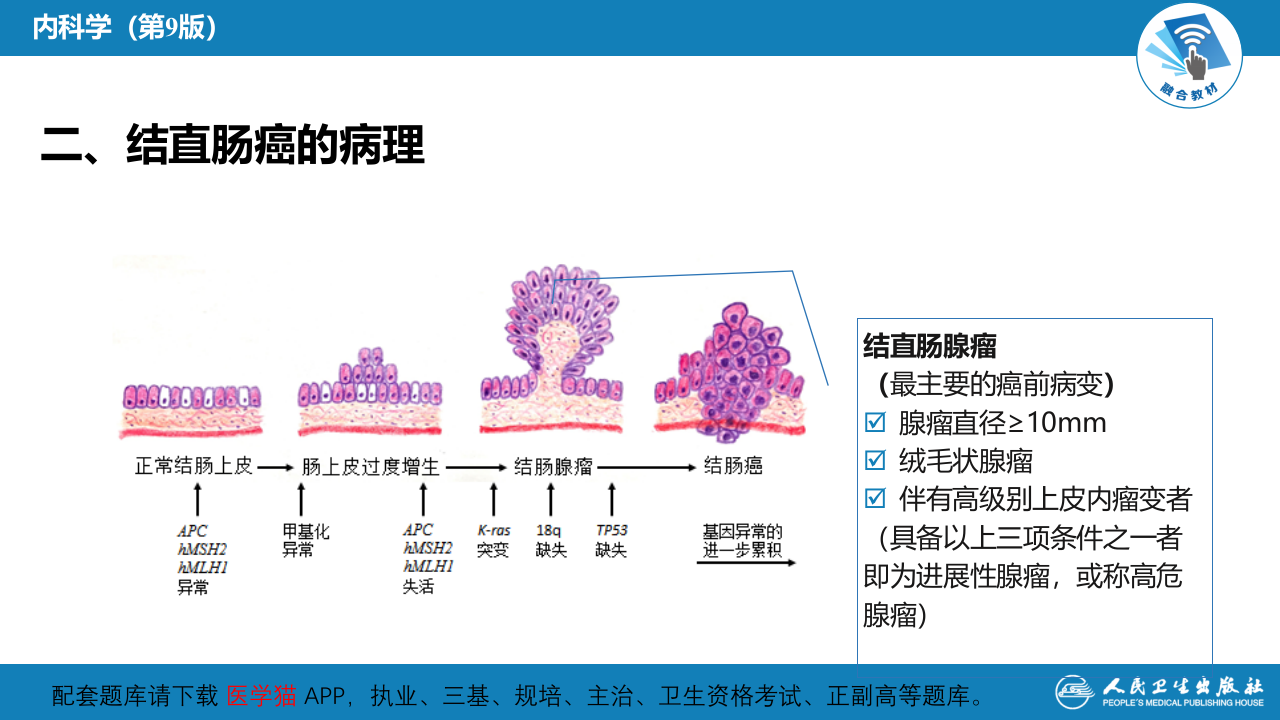 第九章  结直肠癌.pptx 第5页