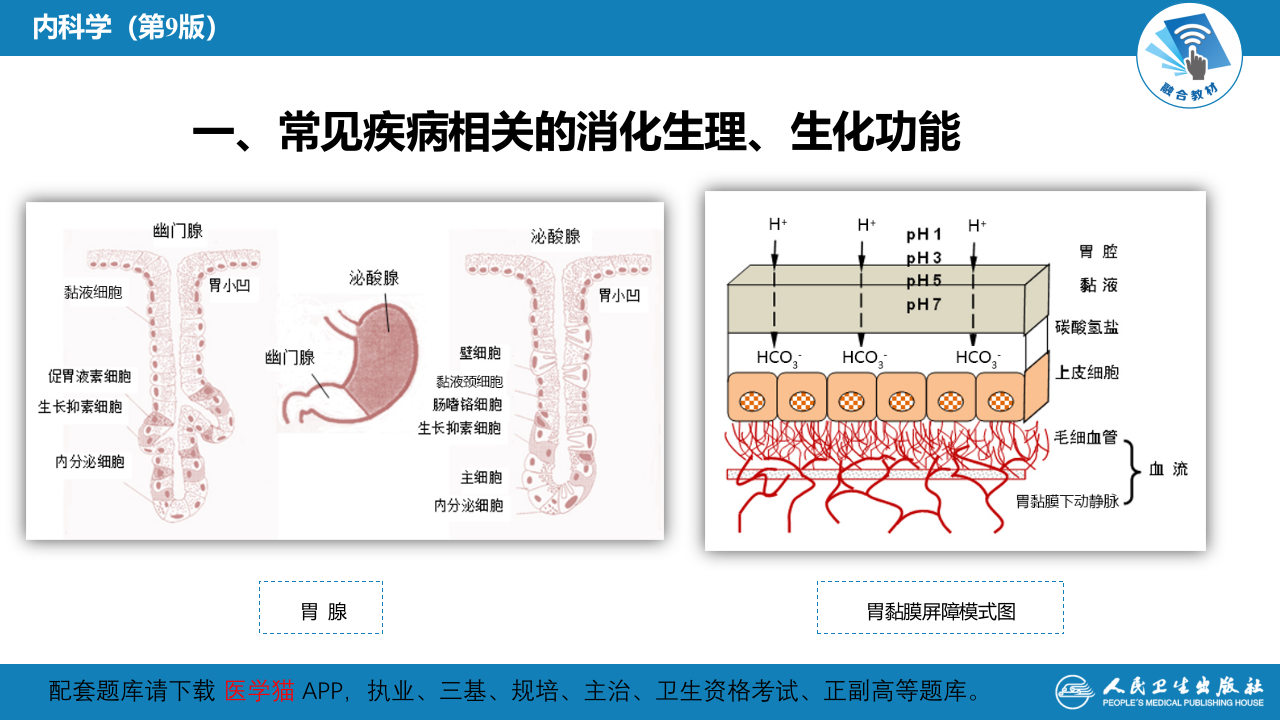 第一章  总论.pptx 第5页