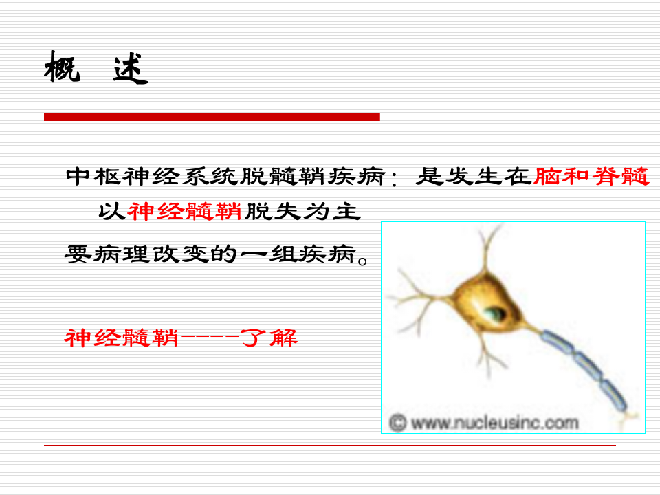 15)ms(1).ppt 第2页
