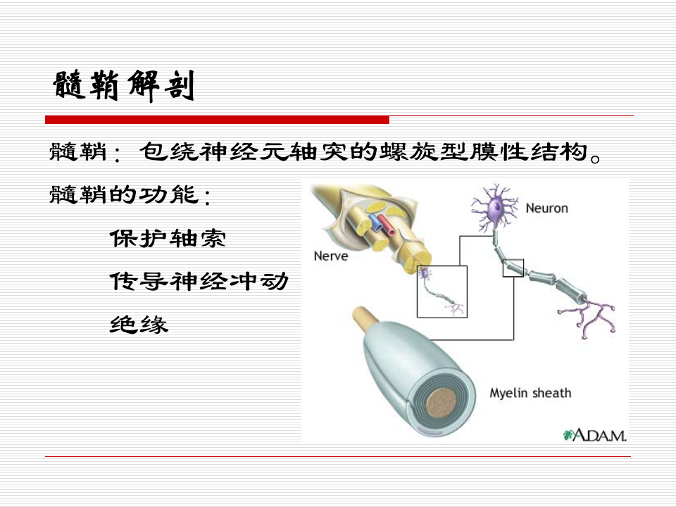 15)ms(1).ppt 第3页