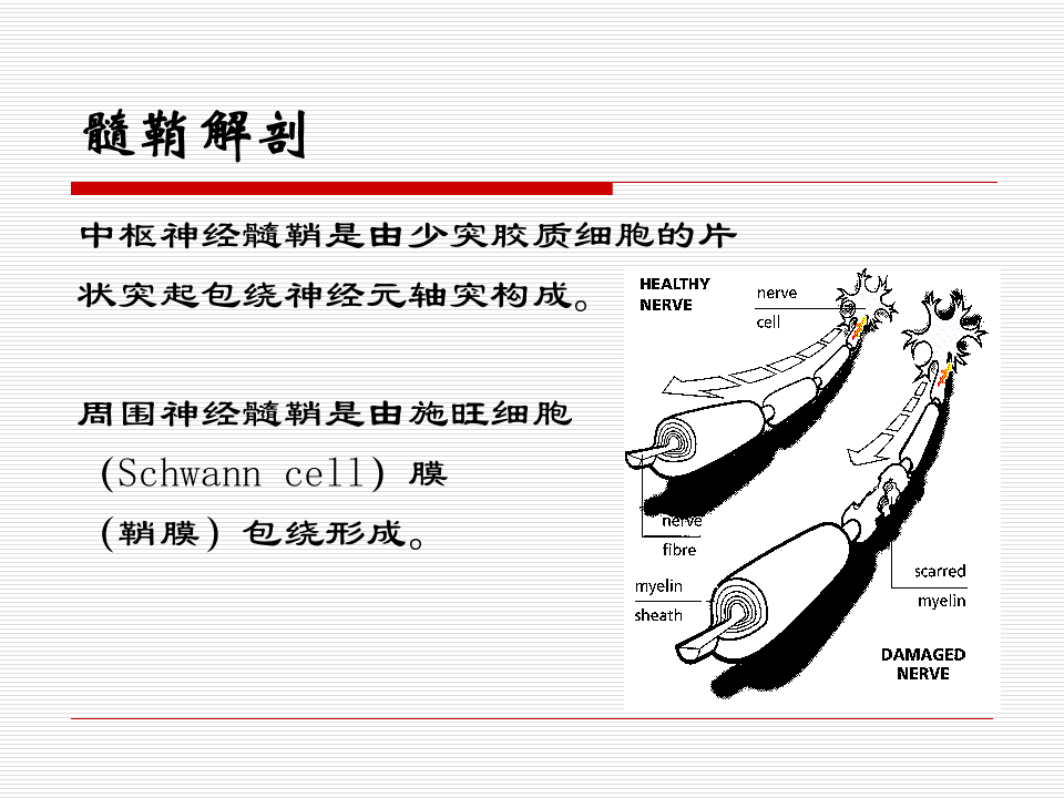15)ms(1).ppt 第4页