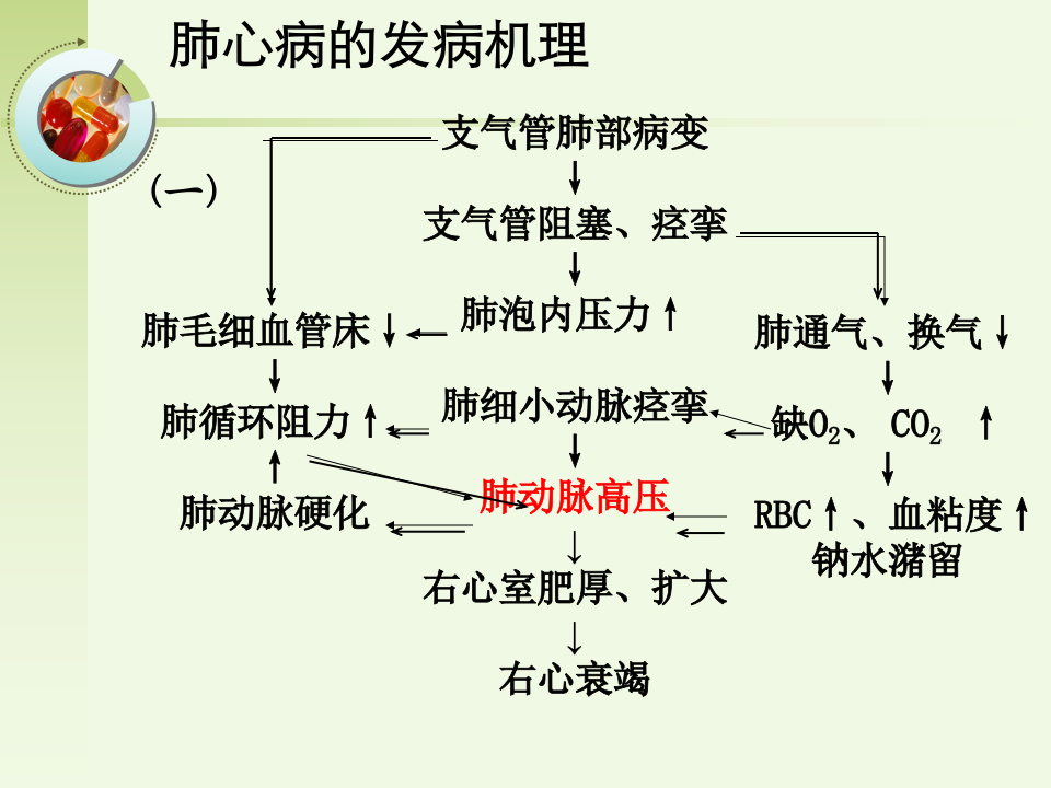 呼吸内科-肺源性心脏病病人的护理.ppt 第5页