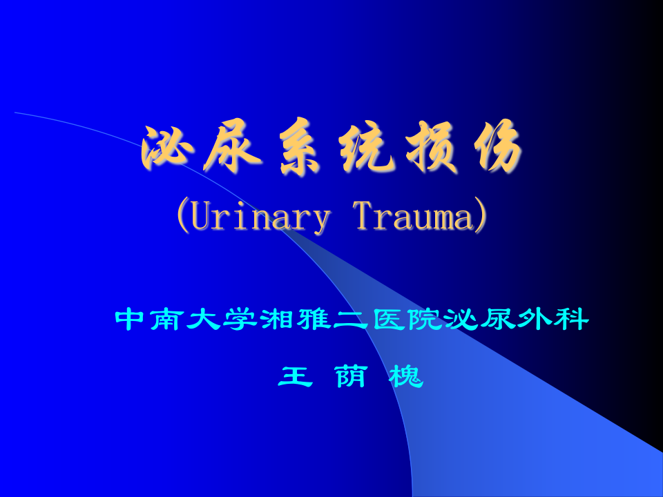 48泌尿科-泌尿系统损伤 .ppt 第1页