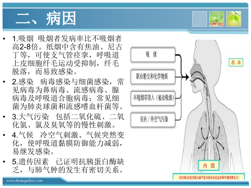 44慢支炎肺气肿的护理.ppt 第4页