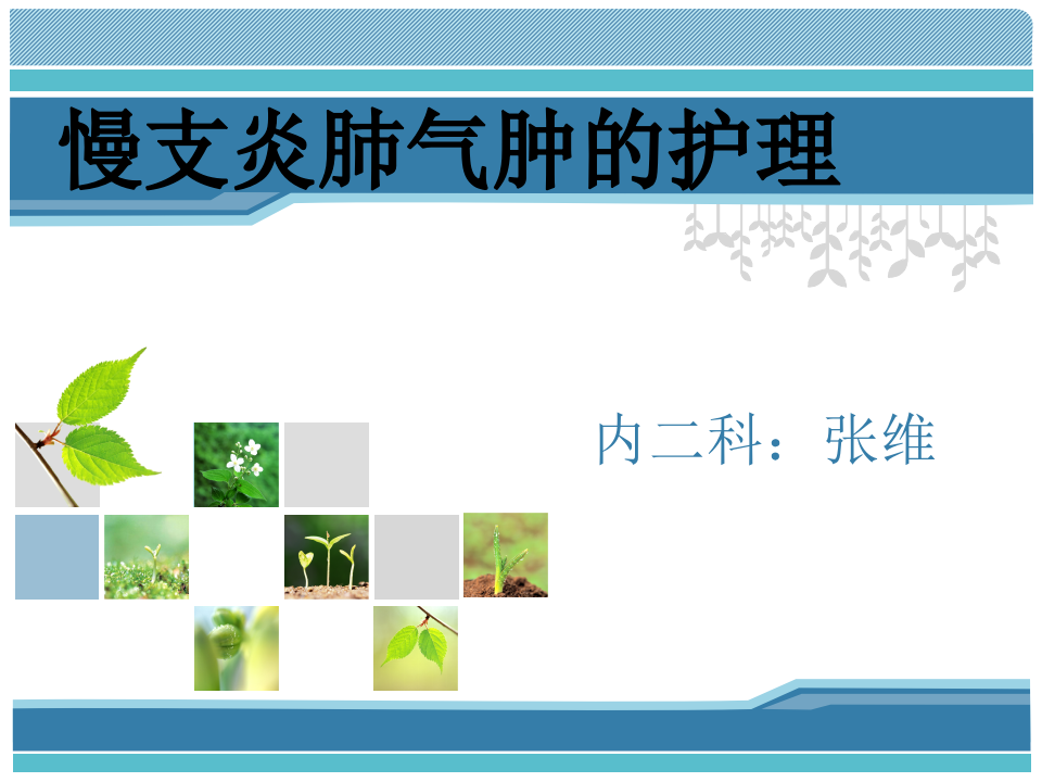 44慢支炎肺气肿的护理.ppt 第1页