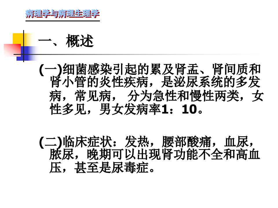105肾内科-肾盂肾炎1.ppt 第2页