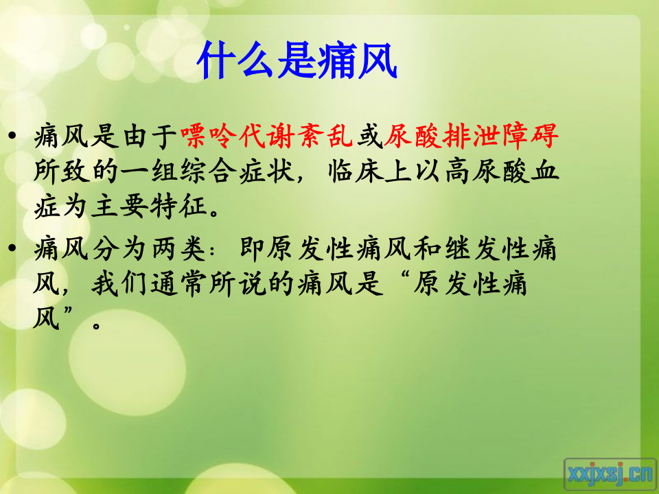 风湿免疫科-痛风.ppt 第3页