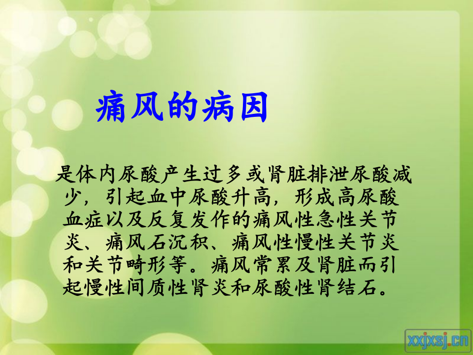 风湿免疫科-痛风.ppt 第4页