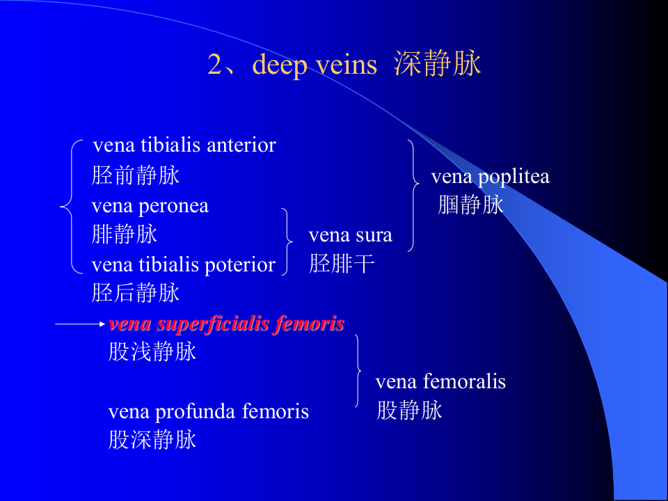 周围血管与淋巴管疾病.ppt 第4页