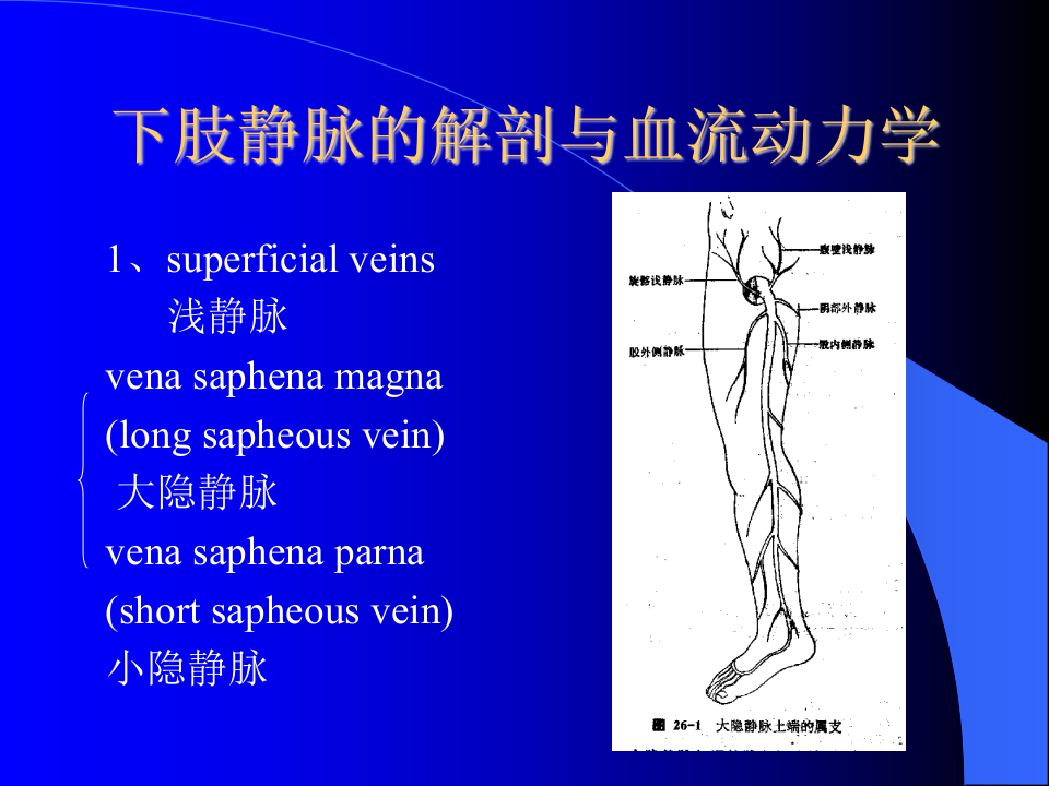 周围血管与淋巴管疾病.ppt 第3页