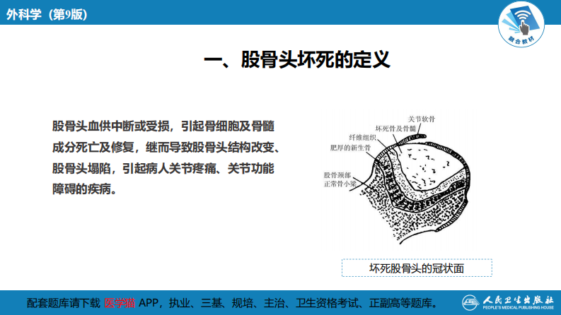 第六十六章 股骨头坏死.pdf 第5页