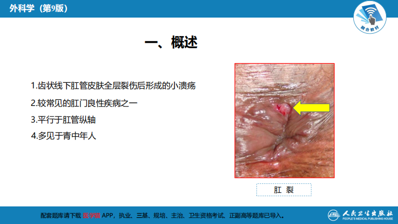 第三十七章 结、直肠与肛管疾病 第九、十、十一节.pdf 第5页