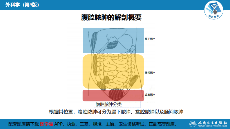 第三十三章 急性化脓性腹膜炎 第二节 腹腔脓肿.pdf 第4页