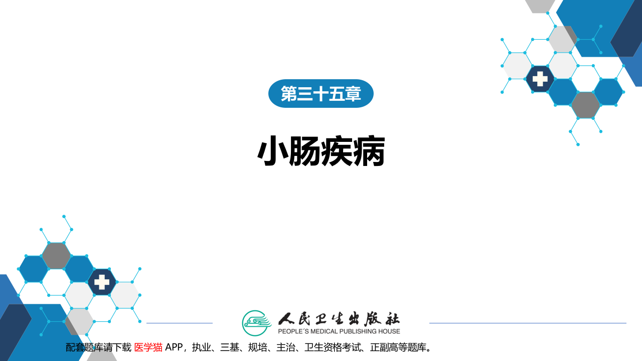第三十五章 小肠疾病 第五、六、七、八节.pptx 第1页
