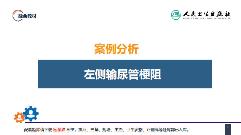 第四十八章 案例分析-输尿管损伤.pdf 第1页