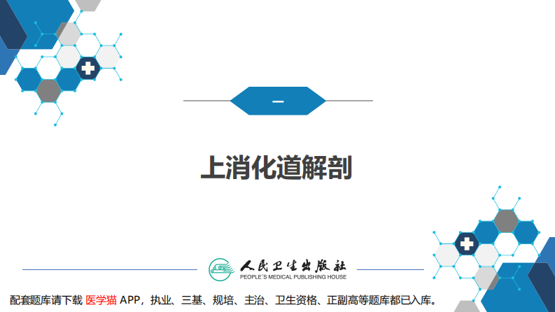第四十三章 消化道大出血的诊断与外科处理原则.pdf 第5页