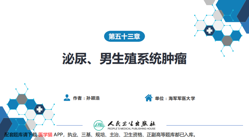 第五十三章 泌尿、男生殖系统肿瘤 第一、二节.pdf 第2页