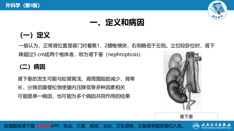 第五十四章 泌尿、男生殖系统的其他疾病.pdf 第5页