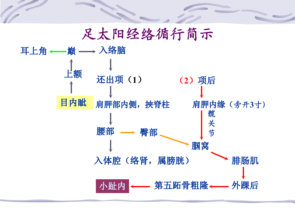 84人体经络穴位图谱7膀胱经.ppt 第4页