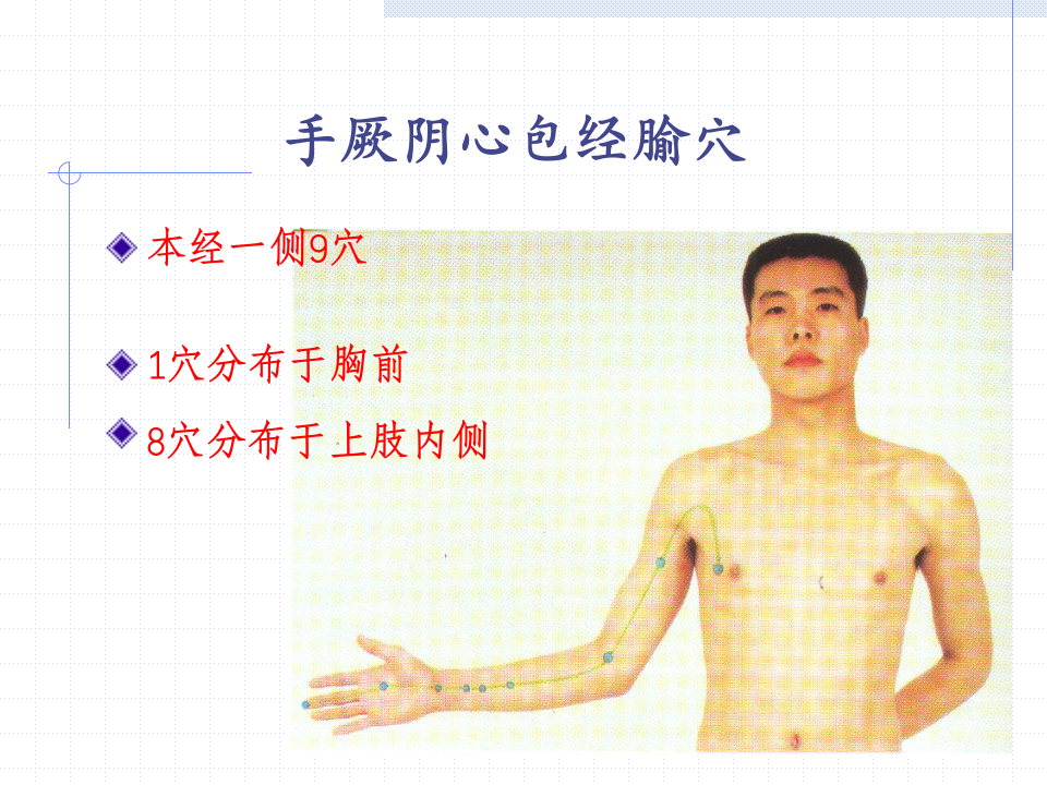 86人体经络穴位图谱9心包经.ppt 第5页
