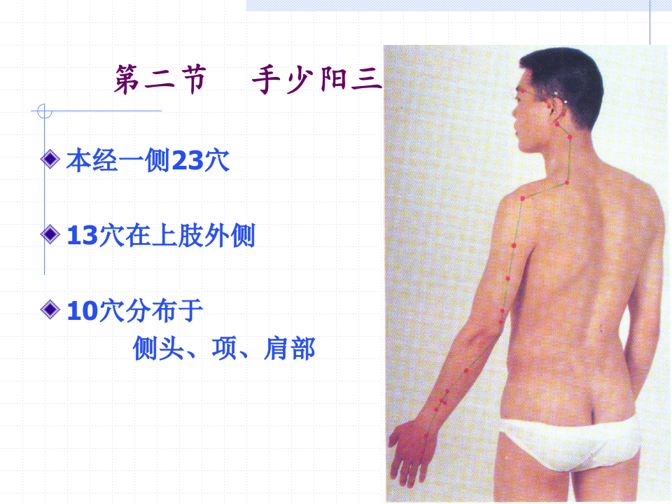 87人体经络穴位图谱10三焦经.ppt 第5页