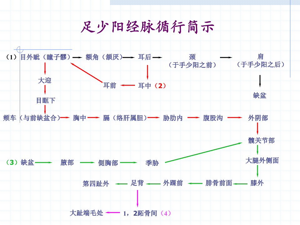 88人体经络穴位图谱11胆经.ppt 第3页