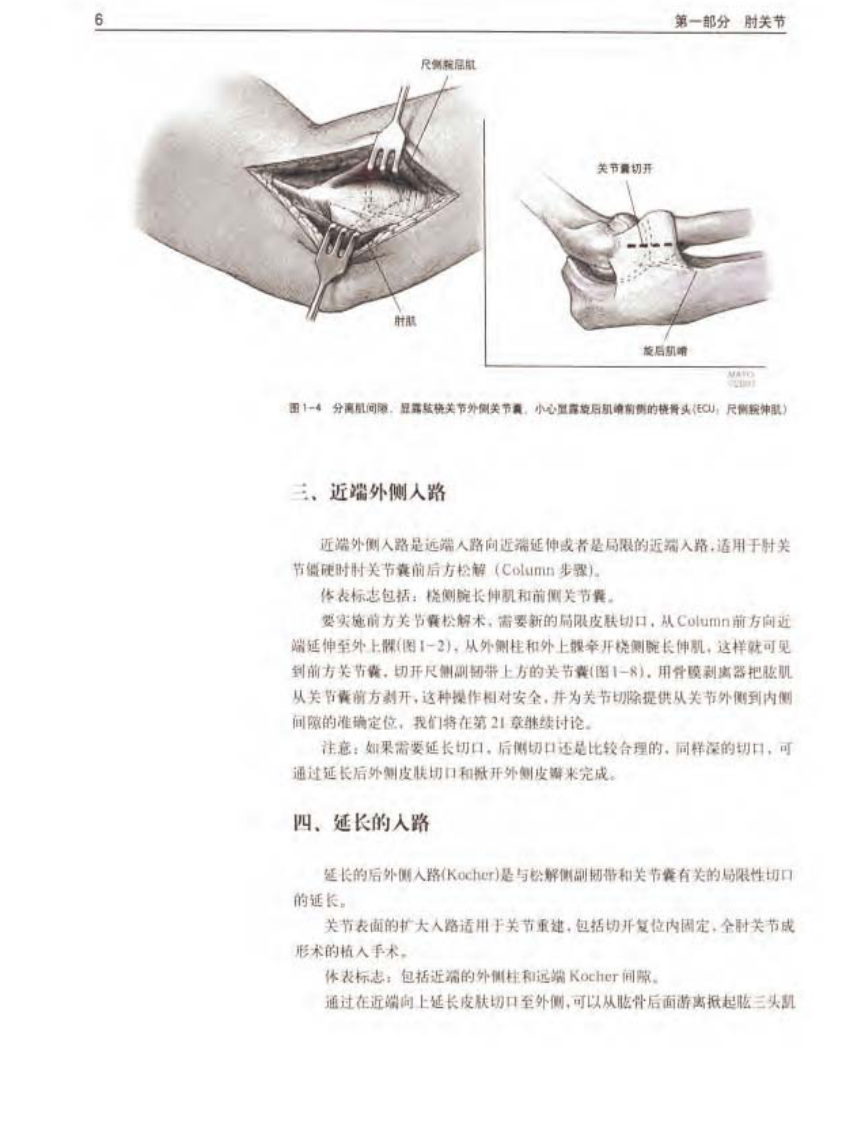 骨科标准手术技术丛书 — 肘.pdf 第5页