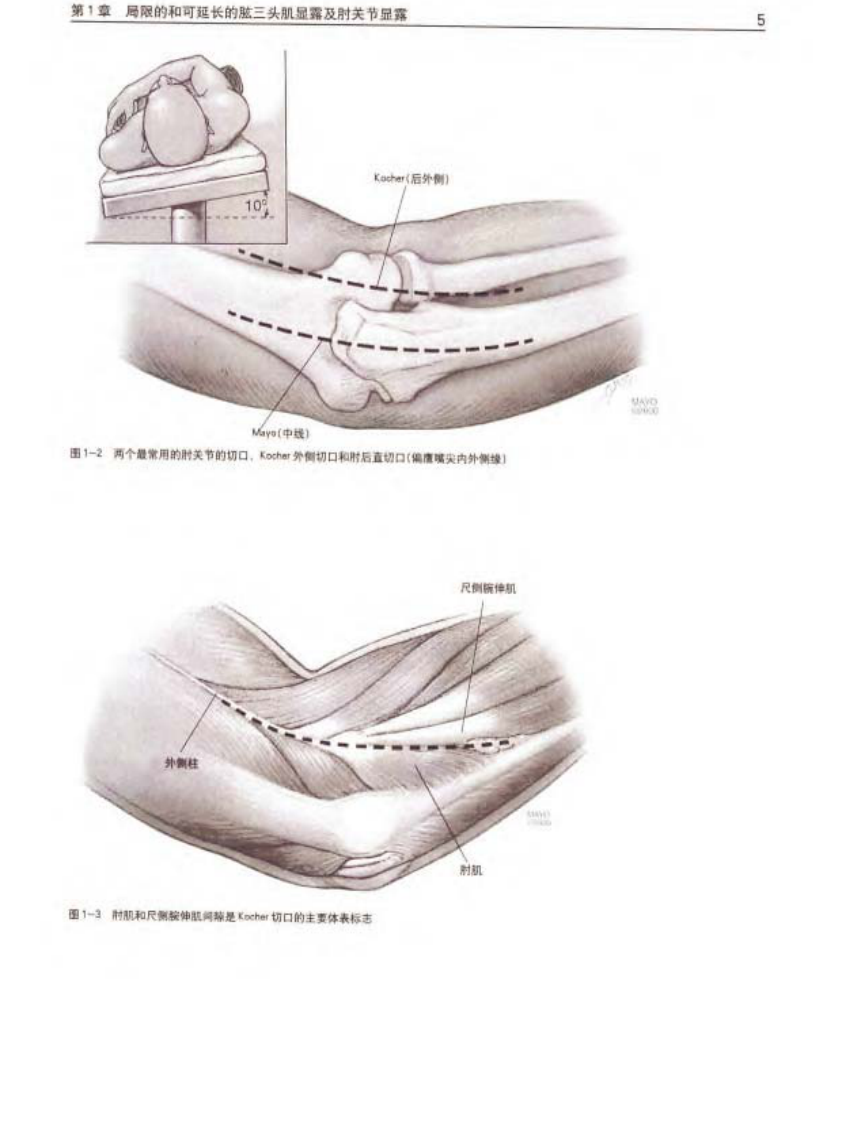 骨科标准手术技术丛书 — 肘.pdf 第4页