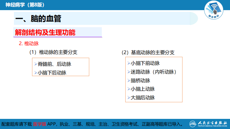 第二章 神经系统的解剖、生理及病损的定位诊断（2）.pdf 第5页