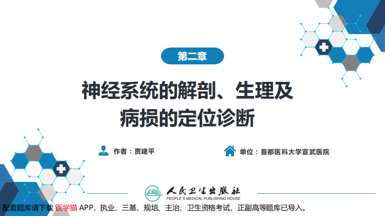 第二章 神经系统的解剖、生理及病损的定位诊断（2）.pdf 第2页
