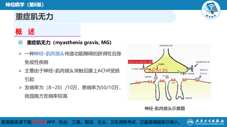 第十九章 神经-肌肉接头和肌肉疾病.pdf 第5页