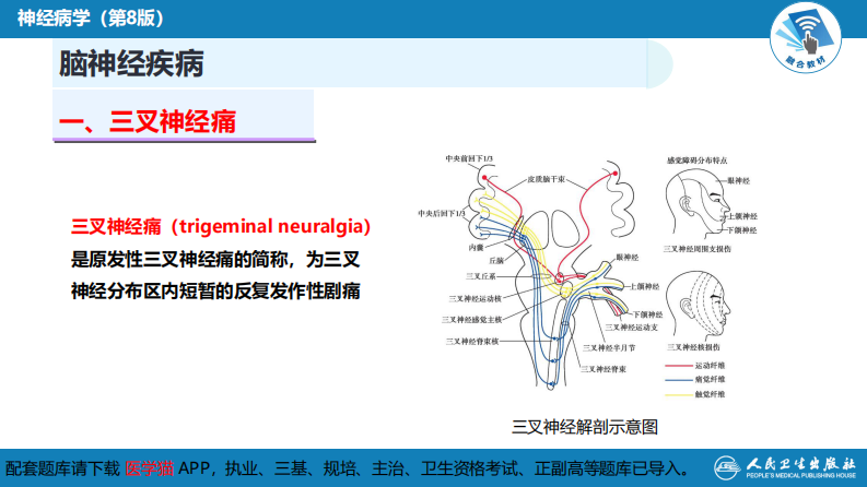 第十七章 周围神经疾病.pdf 第5页