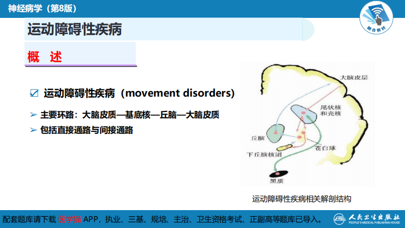 第十四章 运动障碍性疾病（1）.pdf 第5页