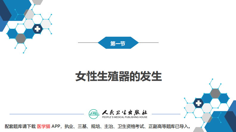 第二十二章 女性生殖器发育异常.pdf 第5页