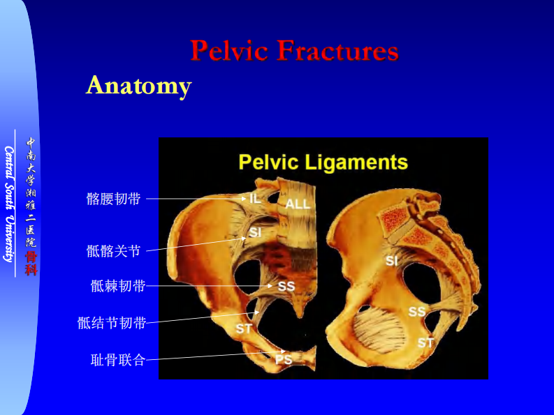 骨科-骨盆骨折与下肢骨折.pdf 第4页