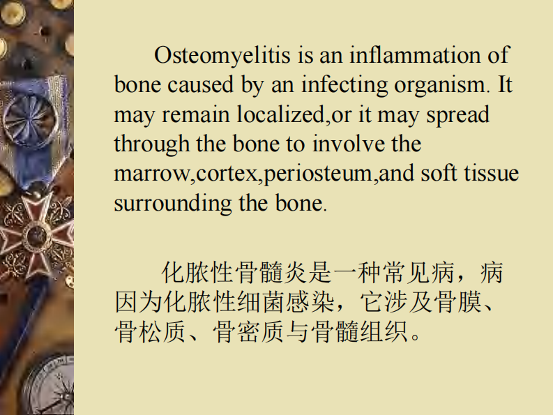 骨科-骨与关节感染.pdf 第2页